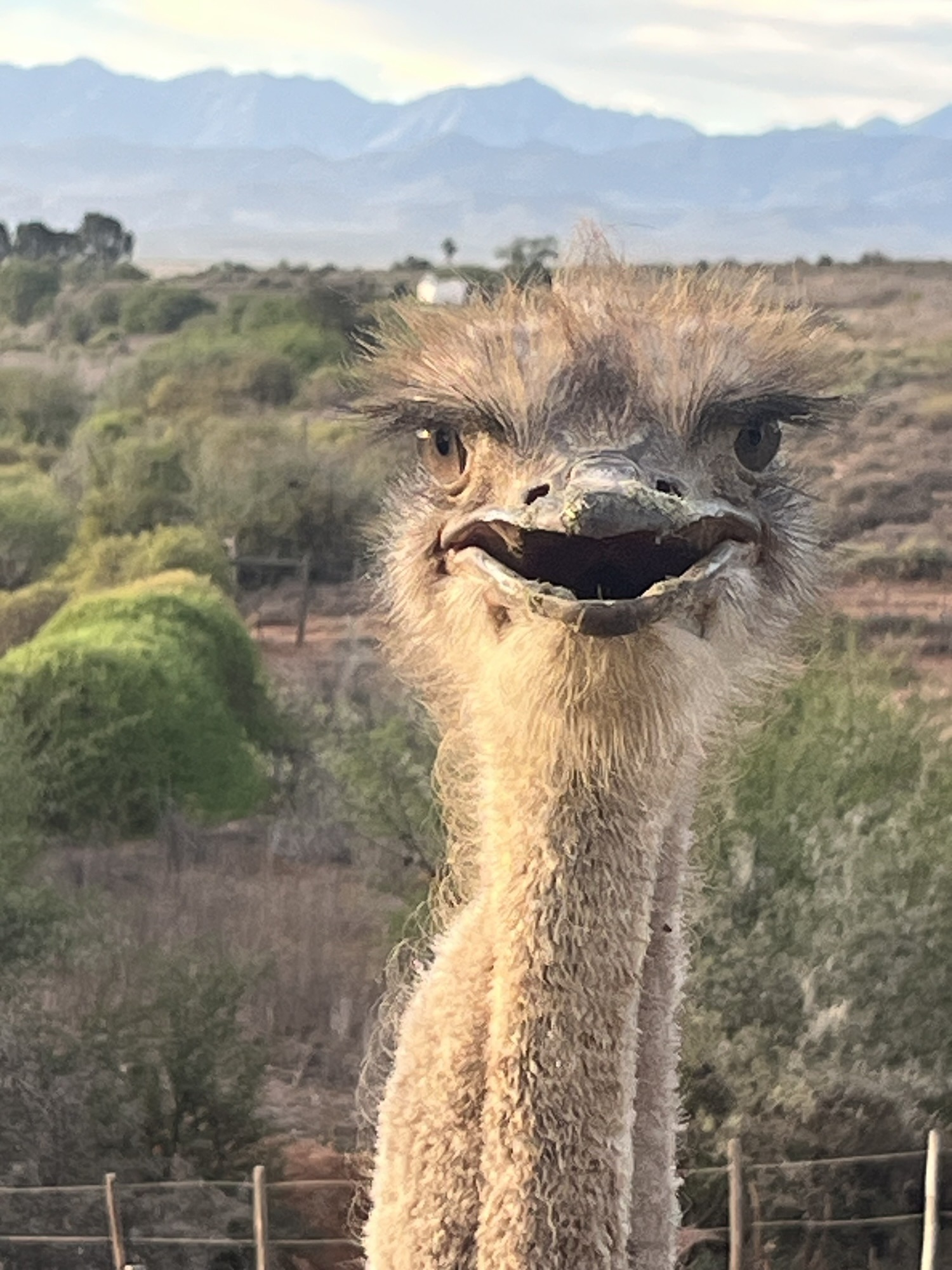 Physiotherapeut*in (m/w/d) gesucht in Teilzeit oder Vollzeit