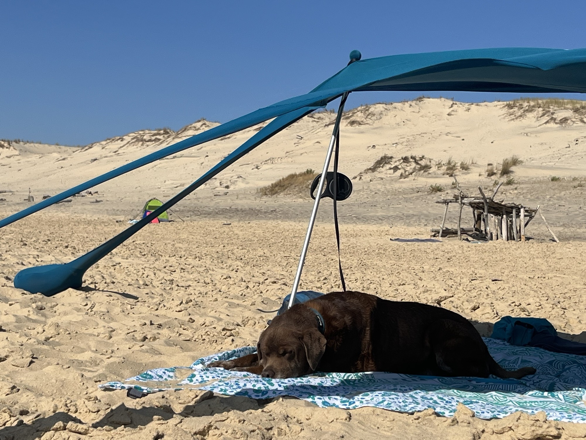 Sommerpause